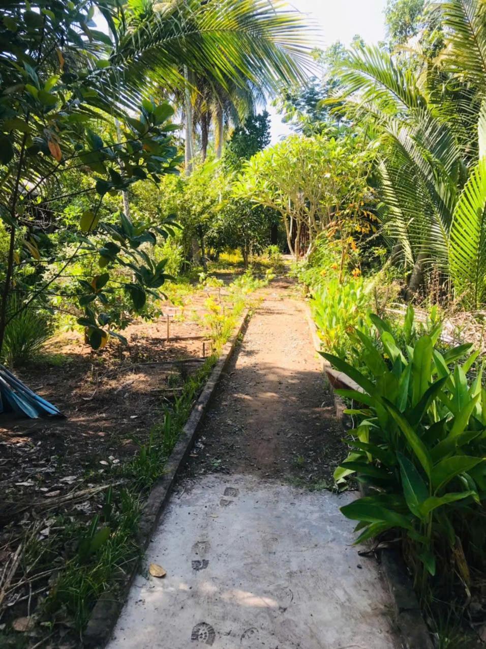 Ba Danh Homestay & Kitchen - Ben Tre Mekong Exterior foto
