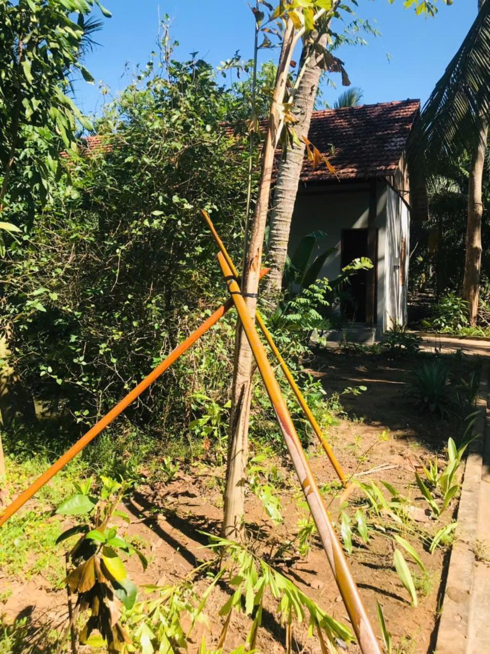 Ba Danh Homestay & Kitchen - Ben Tre Mekong Exterior foto